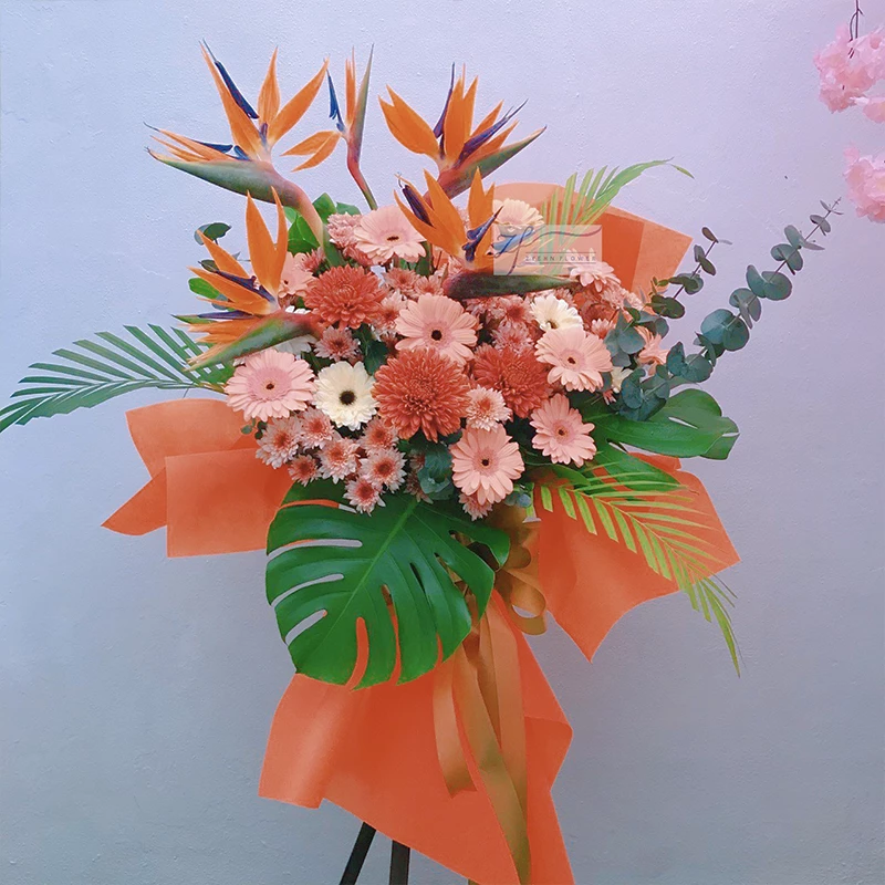 Best Wishes